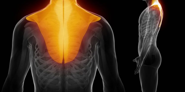 Flail Chest Symptoms