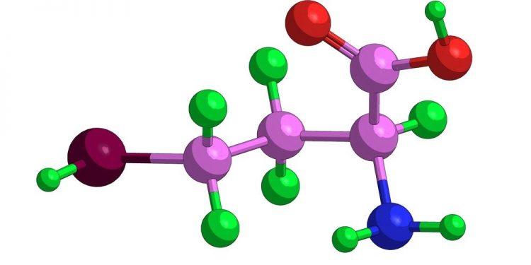 Hyperhomocysteinemia Symptoms