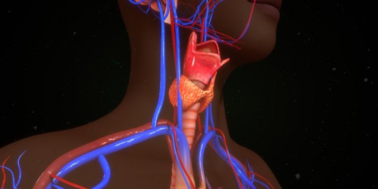 Thyroid Disease in Children