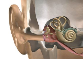 Inner Ear Diseases Symptoms and Treatment