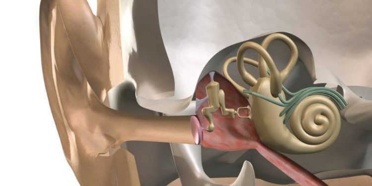 Inner Ear Diseases Symptoms and Treatment