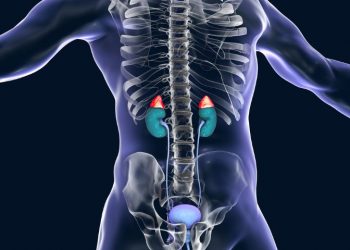 Adrenal Gland Disorders Symptoms