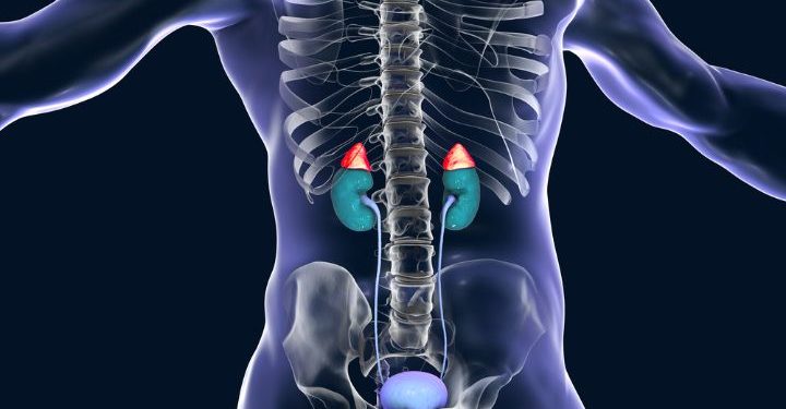 Adrenal Gland Disorders Symptoms