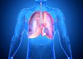 What is the Stage 4 Lung Cancer Survival Rate?