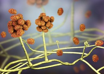 Toxiblastic Diseases Symptoms