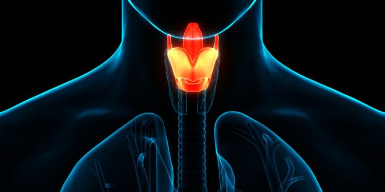 Grave’s Disease Symptoms and Treatments