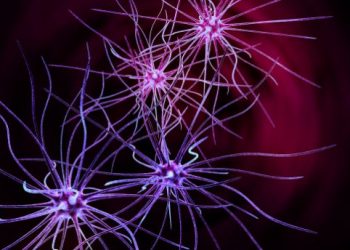 Huntington’s Disease Symptoms and Treatment