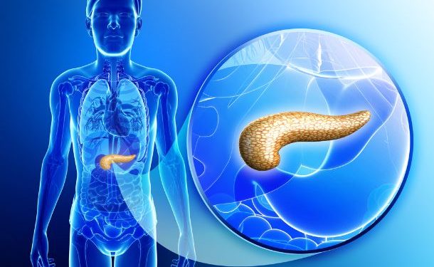 What is the Pancreas Cancer?