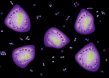 Lysosomal Storage Disorders Symptoms