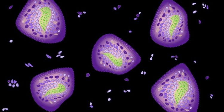 Lysosomal Storage Disorders Symptoms