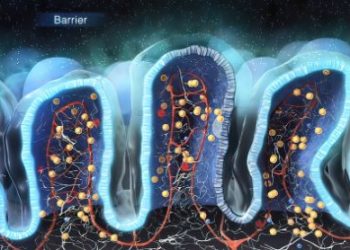 Hodgkin’s Lymphoma Symptoms and Treatment