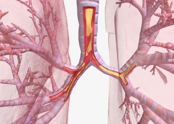 Respiratory Muscles Diseases Symptoms