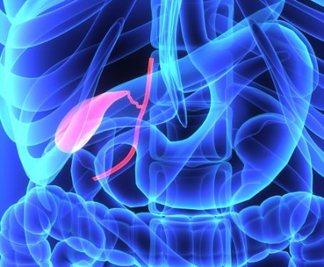 Symptoms of Bile Duct Cancer