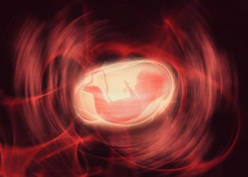 Diseases and Anomalies of the Placenta