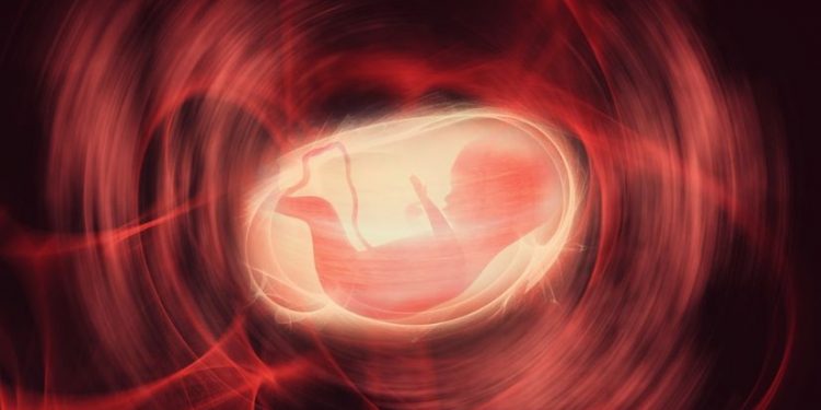 Diseases and Anomalies of the Placenta