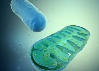 The Mitochondrial Myopathies Symptoms
