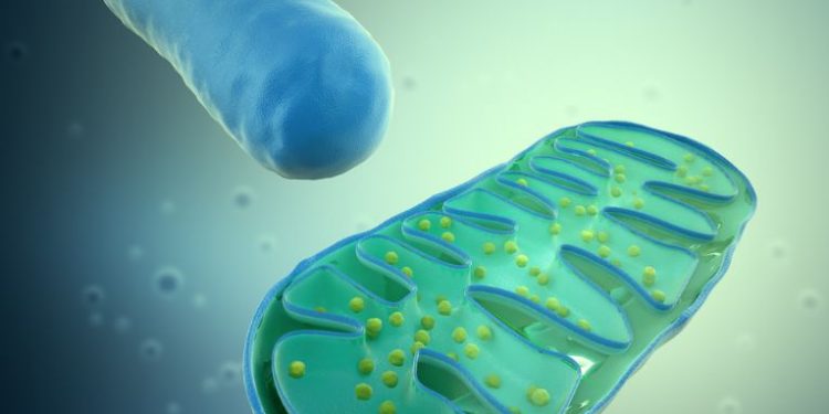 The Mitochondrial Myopathies Symptoms