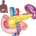 Different Types of Pancreatic Cancer Treatment