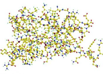 Bovine Spongiform Encephalopathy Symptoms
