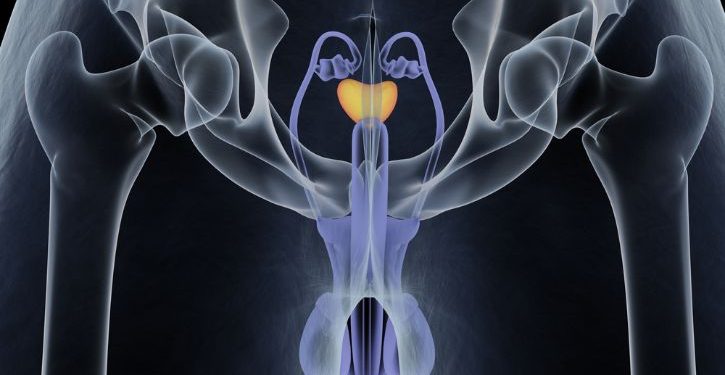 How PSA Levels Can Help Determine If a Man Should Have a Digital Rectal Exam Or a Prostate Biopsy