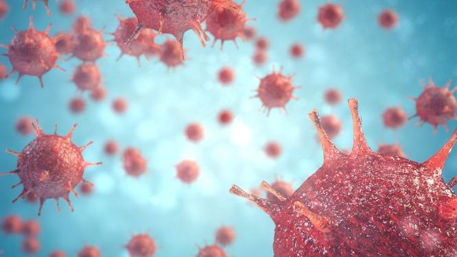 What is the Stage 4 Cancer Survival Rate?