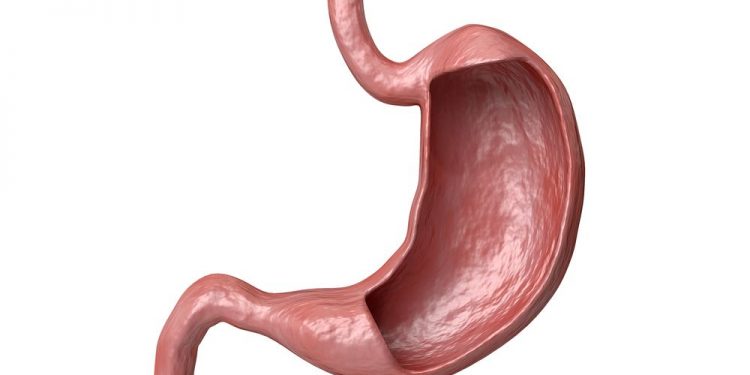 Lymphoma of the Gastrointestinal Tract