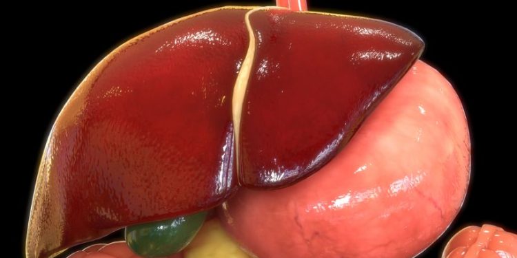 Liver Cancer Causes and Treatments