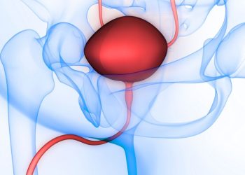What You Should Know About the Male Prostate