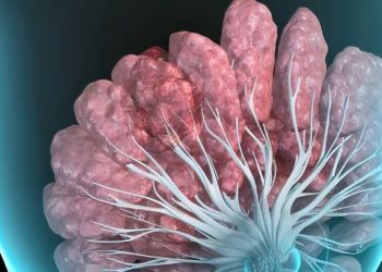 Triple Negative Breast Cancer