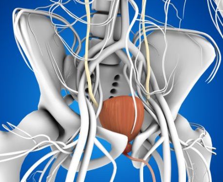 What is Prostate Cancer Staging?