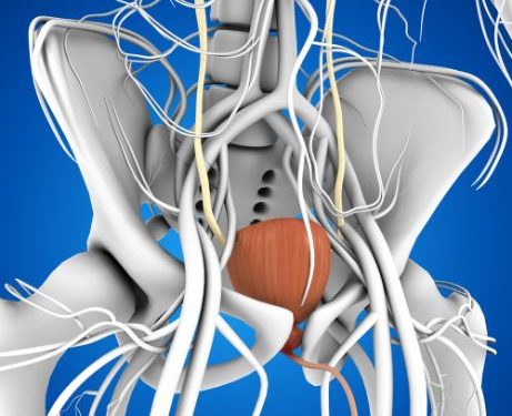 The Stage 4 Prostate Cancer Survival Rate