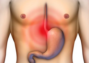 Anatomy and Physiology of the Esophagus
