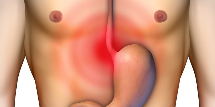 Anatomy and Physiology of the Esophagus