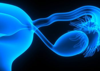 What is the Uterine Lining?