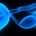 What is the Uterine Lining?