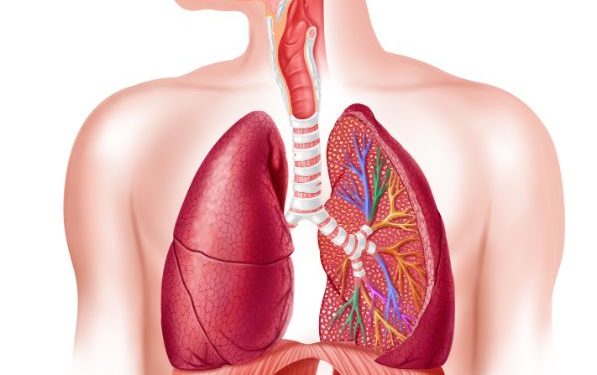 Stage 4 Esophageal Cancer