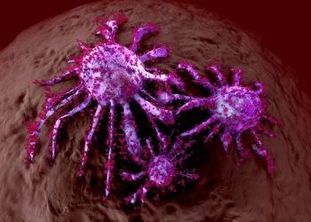 More On Bones Cancer