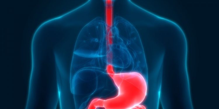 Barrett’s Esophagus Treatments