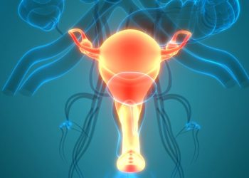 What is a Uterine Cyst?
