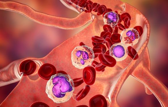 CLL Cancer Treatments