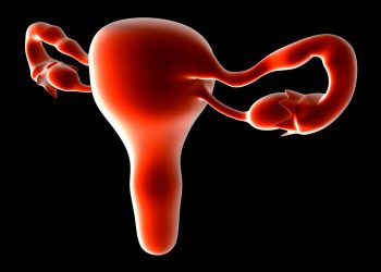 Endometrial Hyperplasia Treatment
