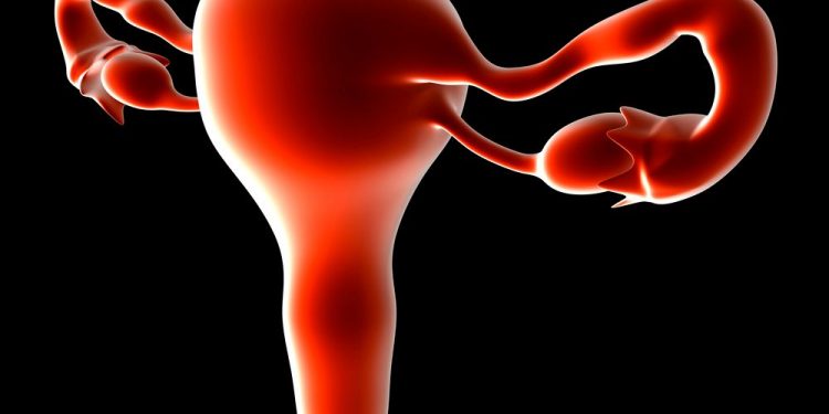 Endometrial Hyperplasia Treatment