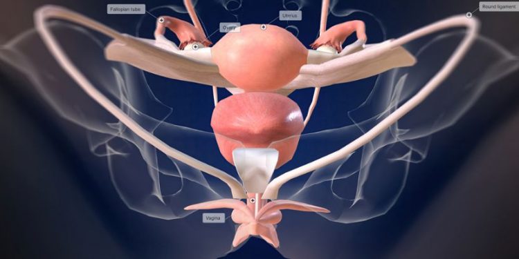 Endometrial Cancer