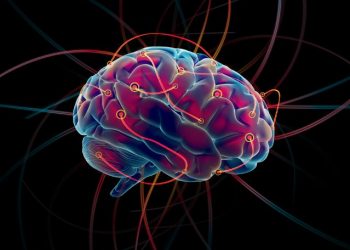 What Happens If You Have a Stroke?