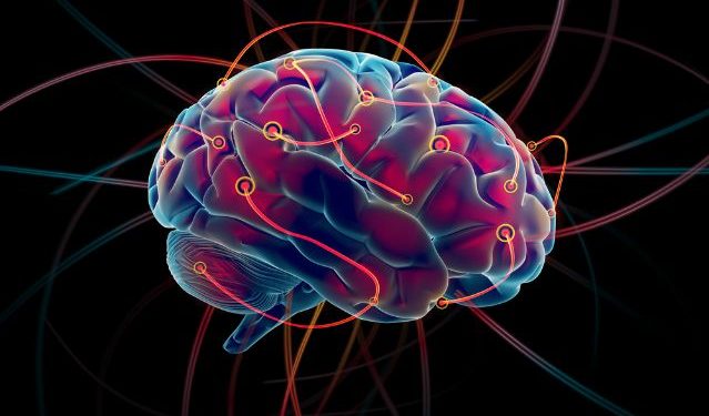 What Happens If You Have a Stroke?