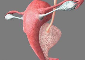 What You Should Know About Uterine Polyps