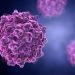 Types of Lymphoma