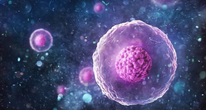 What Is B Cell Lymphoma?