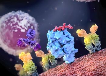 How a Cell Transplant Works