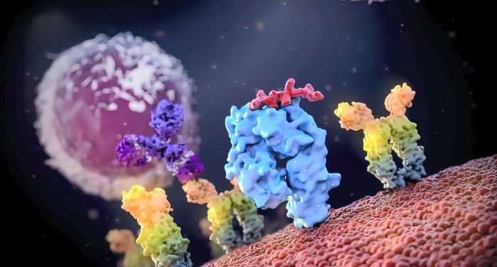 How a Cell Transplant Works